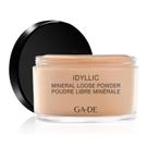 Pó solto GA-DE Idyllic Mineral 101 Dust 26mL