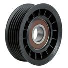 Polia Correia Alternador Troller T4 2001 a 2005 - 148677 - 4285