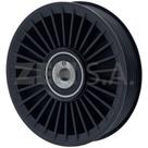 Polia de desvio Mercedes Benz Sprinter Furgão 2001 a 2012