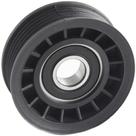 Polia do alternador Ford Focus 2000 a 2020 INDISA T201225