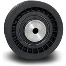 Polia do tensor do alternador Renault Master 2005 a 2013
