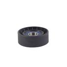 Polia tensora alternador Crossfox /Fox /Gol /Golf /Polo /SpaceFox