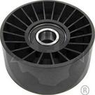 Polia tensora alternador F1000 4.9 1993 a 1998 - ZEN