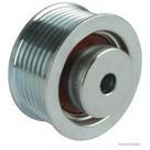 Polia tensora alternador Grand Vitara e Tracker 2.0 Diesel
