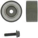 Polia tensora Peugeot 206 2002 a 2008 SKF VKM 36016