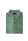 Polo Aramis Basica Gola 3 Cores Verde