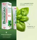 Pomada Basilicão Cosmética de Furúnculo 25g BellaPhytus