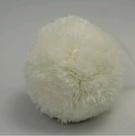 Pompom 60mm 2 unid ref 1144/1 cor b08 marfim