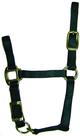 Pônei Horse Halter Hamilton 3/4 de qualidade ajustável verde escuro