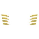 Pontas Grade Aplique Para Scania NTG R/S Dourado Pontas Grade Aplique Para Scania NTG R/S Dourado