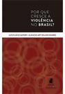 Por que cresce a violência no Brasil