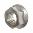 Porcas de flange serrilhadas Fastenere 10 -24 em aço inoxidável 18-8