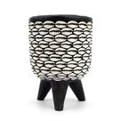 Porta-canetas Pote de resina Cowrie Shell com base de tripé Porta-canetas Pote de resina Cowrie Shell com base de tripé