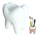 Porta Escovas de Dente e Creme Dental em Formato De Dente Diversão Decoração 3 Divisórias Porta Escovas de Dente e Creme Dental em Formato De Dente Diversão Decoração 3 Divisórias