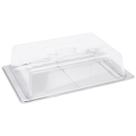 Porta Frios em Inox com Tampa em Acrílico 27x19 cm - Mimo Style - AN864