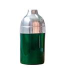 Porta Garrafa de Cerveja em Alumínio e Isopor Térmico 300Ml - Verde