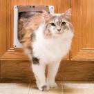 Porta interna Cat Door PetSafe, fecho bidirecional para caixa de areia para gatos