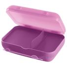 Porta Lanche Tupperware com Divisórias