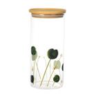 Porta mantimento redondo Vidro boro tampa 1,4L -Dynasty Porta mantimento redondo Vidro boro tampa 1,4L -Dynasty