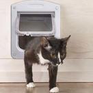 Porta Pet Door Para Cães E Gatos Ate 7kg Com Trava 4 Funções - shopmix