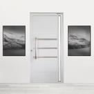 Porta Pivotante de Alumínio 210 X 120cm com Puxador, Friso e Vidro Veneza Esquadrias Bergamo