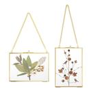 Porta-retratos JUXYES Brass Floater Frame Golden Glass 5x7 Porta-retratos JUXYES Brass Floater Frame Golden Glass 5x7