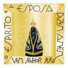 Porta Santa Imagem Nicho Oratório Espelhado Norte Capela Nossa Senhora Aparecida