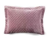 Porta Travesseiro Plush Inove Liso 55x80 cm Azaleia Hedrons
