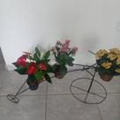 Porta vasos bicicletas