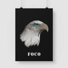 Poster Adesivo Águia Foco