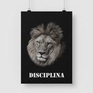 Poster Adesivo Leão Disciplina