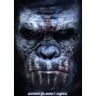 Pôster: arte de parede, pintura decorativa, Planets of Apes, anime retrô Pôster: arte de parede, pintura decorativa, Planets of Apes, anime retrô
