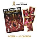 PÔSTER CAMPEÃO CONMEBOL Libertadores 2025 PÔSTER CAMPEÃO CONMEBOL Libertadores 2025