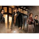 Pôster com arte de parede Fantastic Beasts Movie Newt Scamander 30x42cm