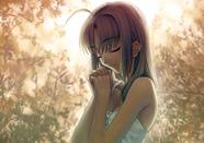 Pôster com impressão de arte de parede Fate/Stay Night Sabre 20x30cm Iron