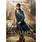 Pôster com pintura de parede Fantastic Beasts Anime 30x42cm