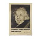 Pôster de arte de parede com imagem Einstein Anime Art 51,5x36cm