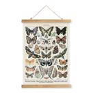 Pôster de arte de parede MIDEFINCH Vintage Butterfly 40x60cm com moldura