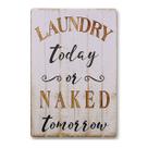 Pôster de pintura em ferro Retro Laundry Today or Naked Tomorrow