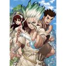 Pôster Dr. Stone Anime 30x42cm Impressão artística de parede sem moldura