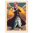 Pôster Fairy Tail Anime Art 30x40cm Papel 30g sem moldura