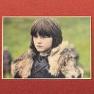Pôster Game of Thrones da série de TV Bran Stark 42x30cm Pôster Game of Thrones da série de TV Bran Stark 42x30cm