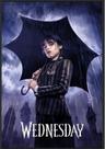 Poster m py pp 35275 liq wandinha go go muck