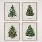 Pôster NOCT METEOR Vintage Christmas Pine Tree 20x25cm 4 unidades