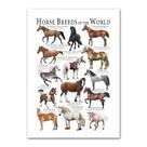 Pôster Pintando Horse Breeds World 40x60cm em tecido