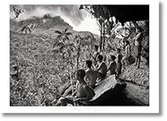 Pôster "Sebastião Salgado. Amazônia. Poster Yanomani Men"
