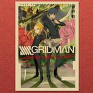 Pôster SSSS.Gridman Impressão artística de anime vintage 20x30cm