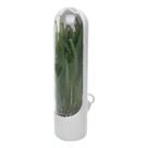 Pote Conservador Temperos Frescos Preserva Sabor E Frescor