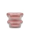 Pote Para Armazenar Papinha Baby Food