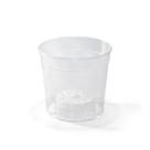 Pote para Orquídea Transparente N. 12 Nutriplan